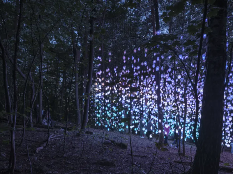 Nordic Pixel Forest